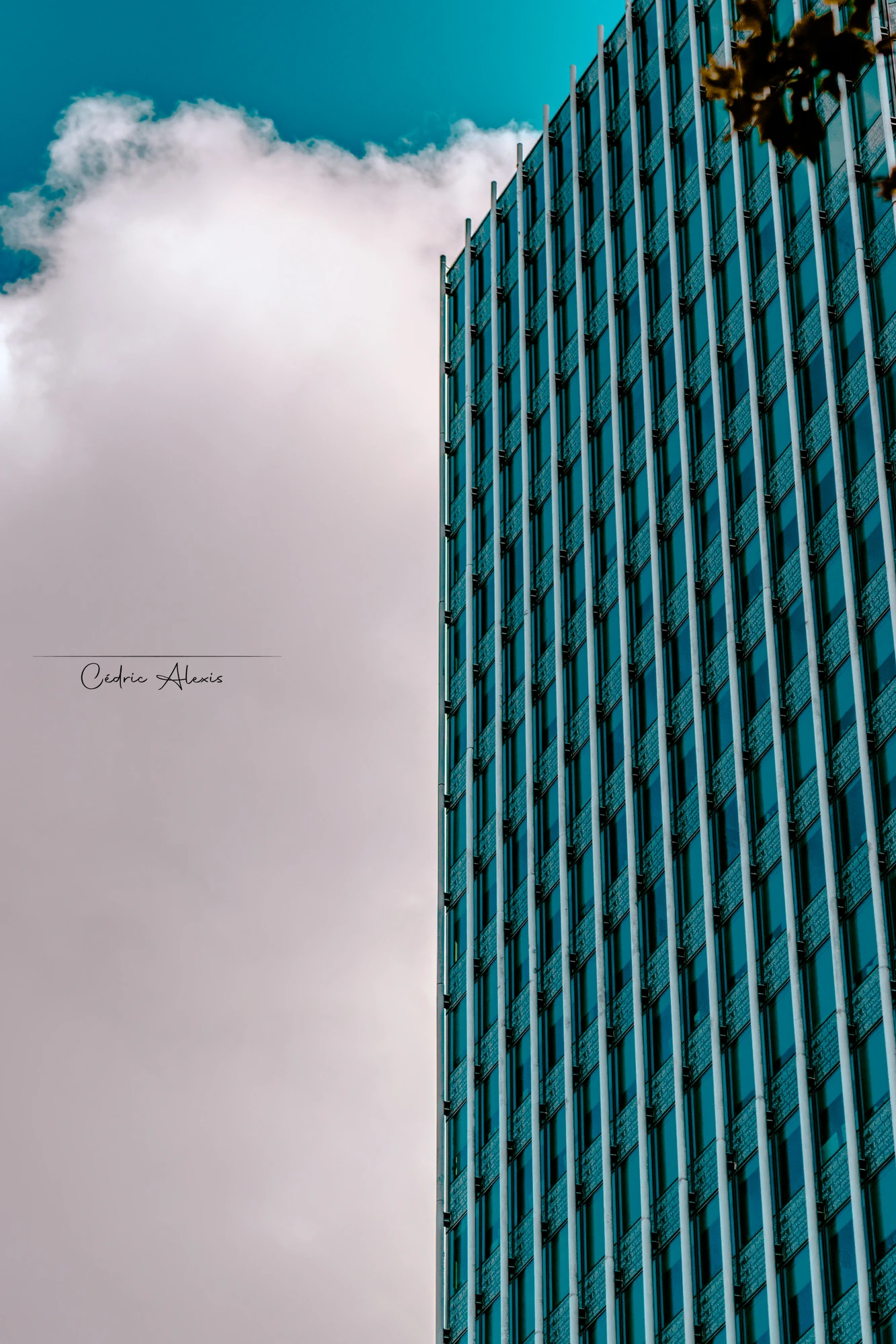 Reportage — 04